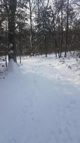 17:50:36 GMT-0600 (CST)