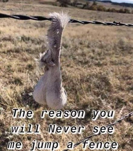 06:48:20 GMT-0600 (CST).image