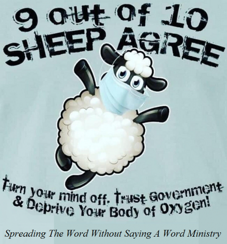 141537628_733730237253532_997490946263764819_n