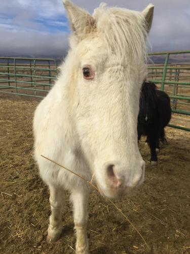 21:09:42 GMT-0800 (PST).image