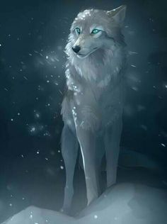 11:40:56 GMT-0600 (CST)