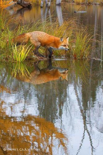 133723321_1483459391853406_8796825843291576817_n