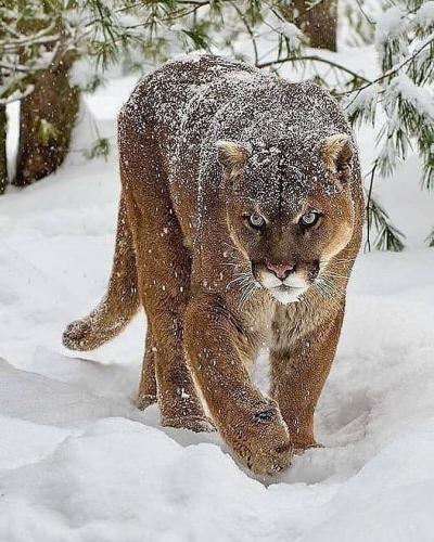 139493762_107859997942038_5459668147185594492_n