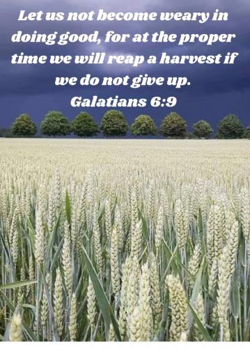 11:40:37 GMT-0600 (CST)