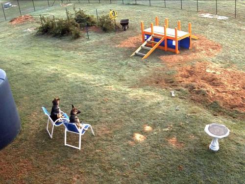 Screenshot_20200918-094726_Facebook