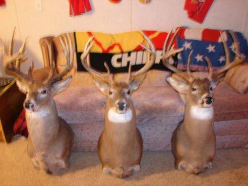 00:51:04 GMT-0600 (CST)