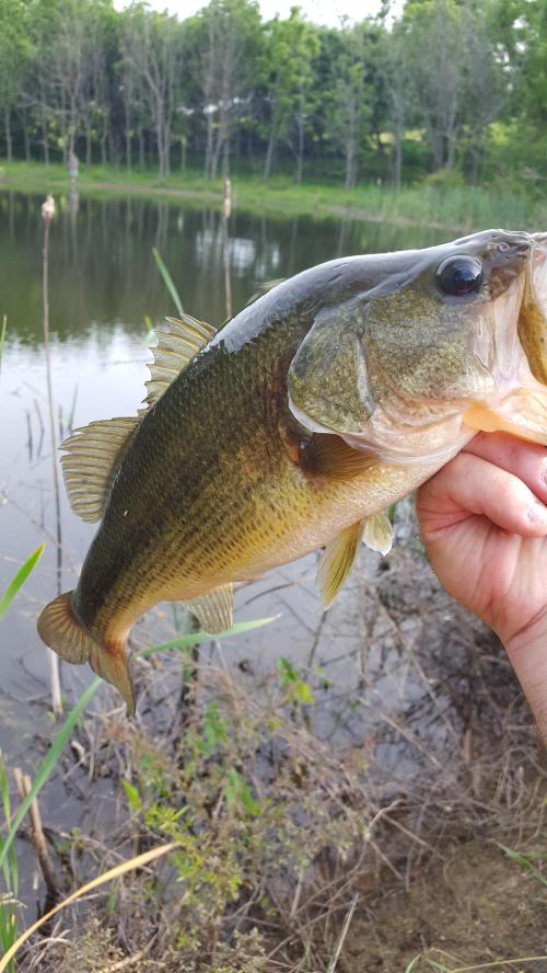 22:08:07 GMT-0500 (EST)