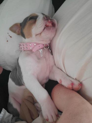 04:19:42 GMT-0500 (EST)