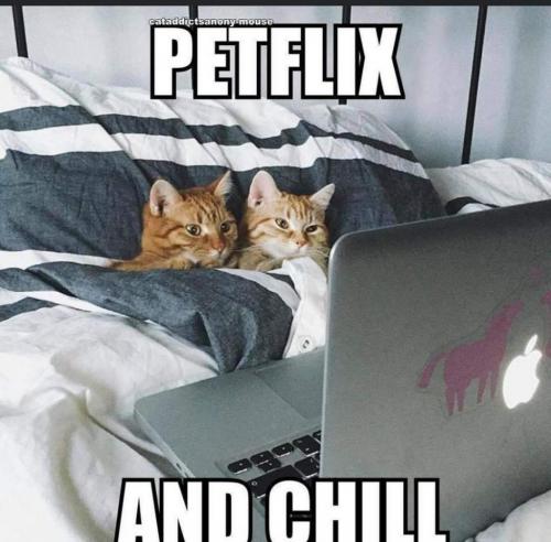 00:33:26 GMT-0600 (CST)