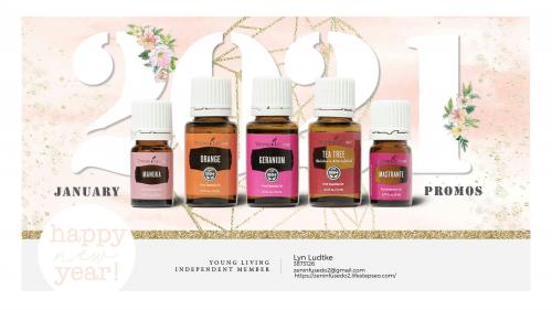 11:07:26 GMT-0600 (CST)