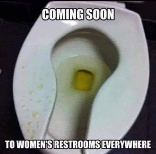 143098967_522519112048821_6430363710517301700_n