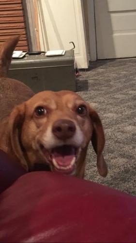 18:40:27 GMT-0600 (CST).image