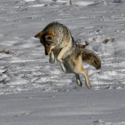 139360117_10159119888579166_6393150643354404905_n