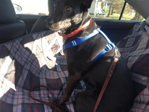 10:01:40 GMT-0600 (CST).image