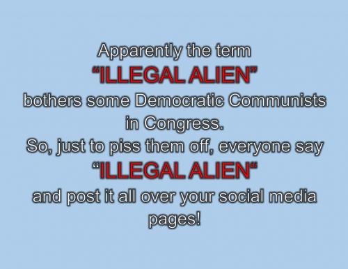 Illegal Alien