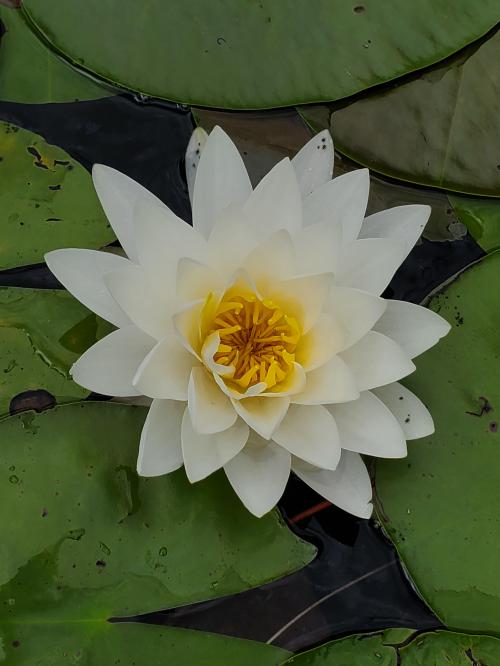 15:16:56 GMT-0500 (EST)