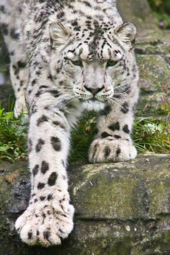 135650324_1486905888175423_6727253224550054935_n