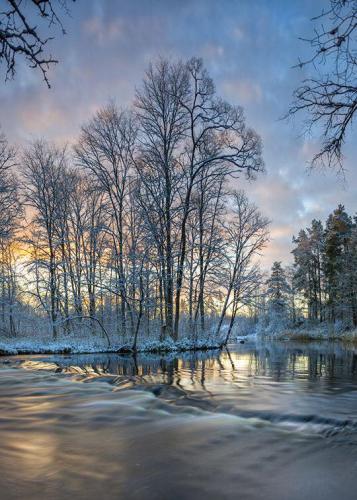 143883337_1504019423130736_550415661481540702_n