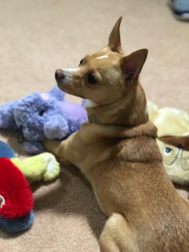 07:25:24 GMT-0500 (EST)