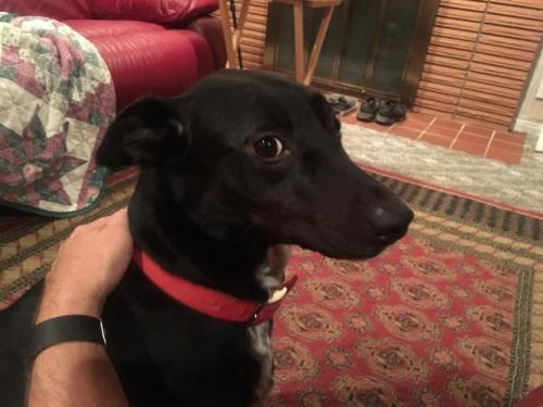 10:13:29 GMT-0600 (CST).image