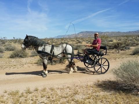 19:48:02 GMT-0800 (PST).image