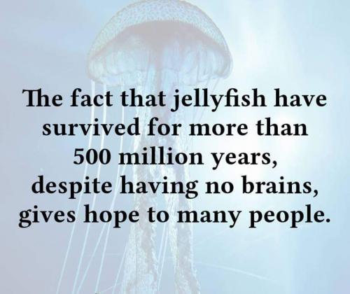 19:25:47 GMT-0500 (EST).image