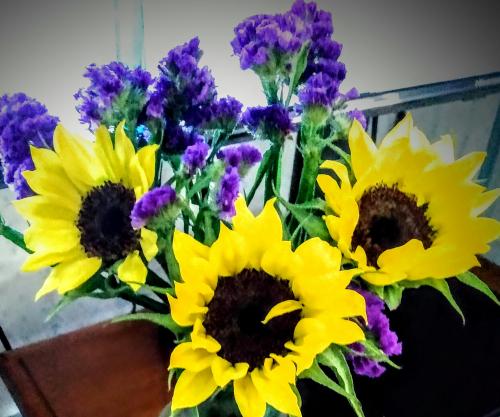 11:33:55 GMT-0600 (CST)