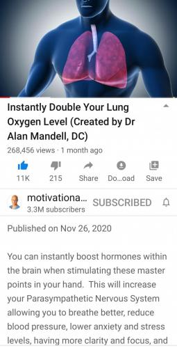Screenshot_2021-01-17-13-41-24-288_com.google.android.youtube