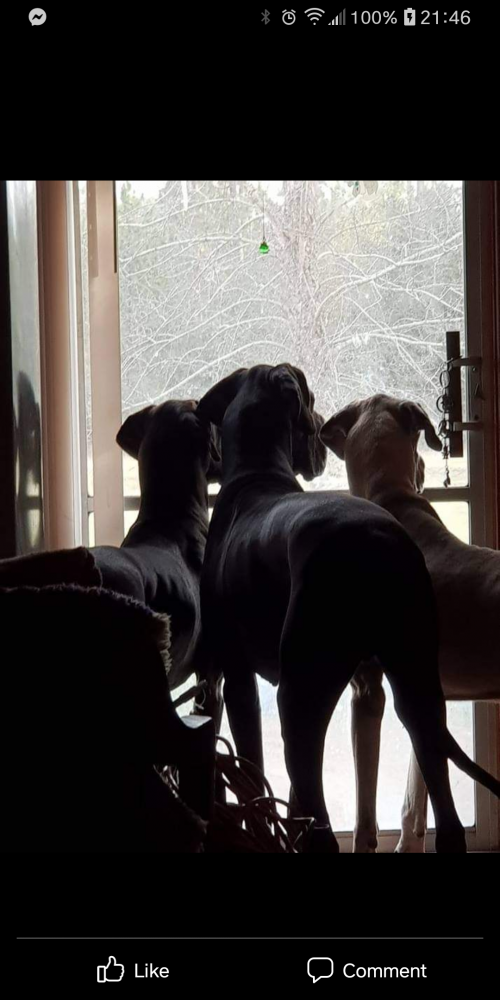 12:43:00 GMT-0500 (EST).png