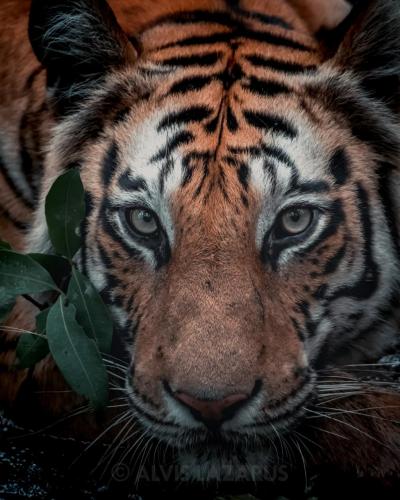 136456194_2805287276354258_303290456624357083_o