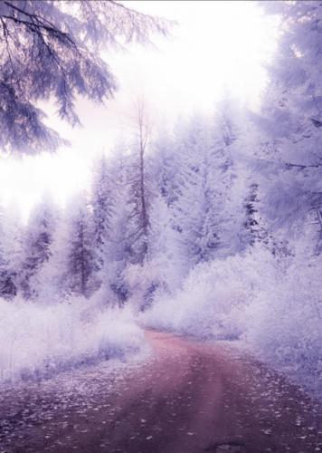 23:13:21 GMT-0600 (CST)