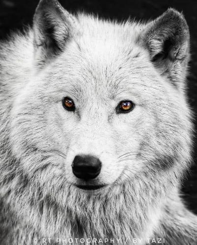 133651805_226689185691782_1828822470111454883_n