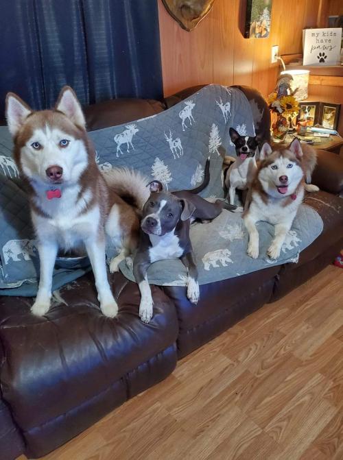 23:21:33 GMT-0600 (CST)