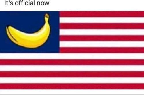 08:37:14 GMT+0100 (CET)