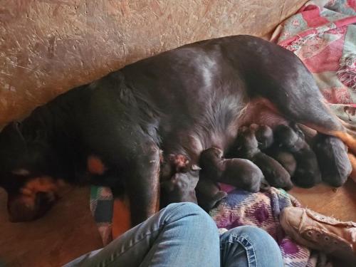 11:59:34 GMT-0800 (PST)