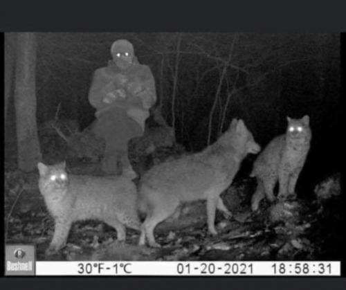 11:17:03 GMT-0600 (CST)