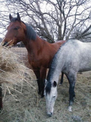 19:28:07 GMT-0600 (CST)