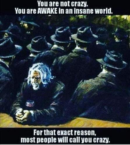 137083881_434429484274026_7624390694881643724_n