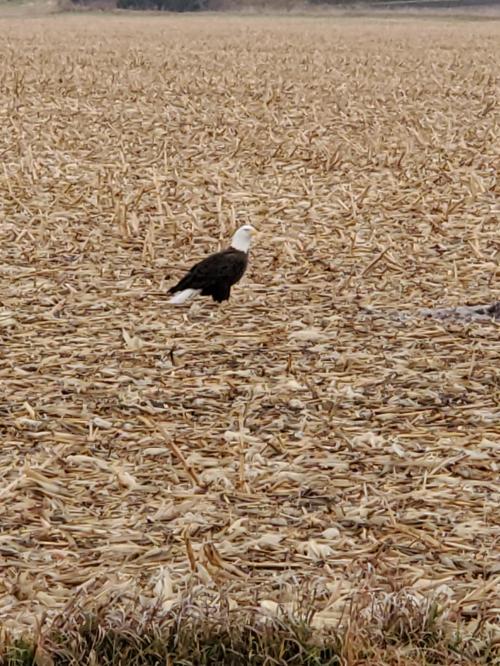 04:44:59 GMT-0600 (CST)