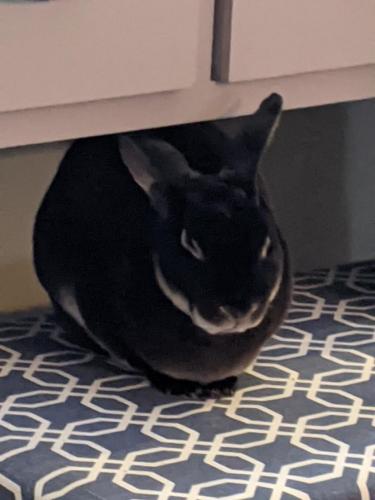 18:58:06 GMT-0500 (EST)