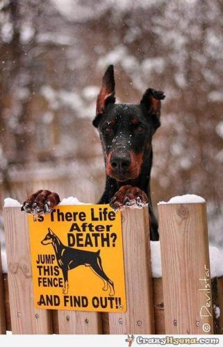 16:00:25 GMT-0500 (EST)