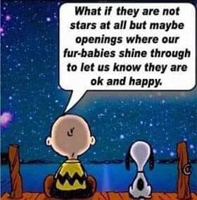 07:52:49 GMT-0600 (CST)