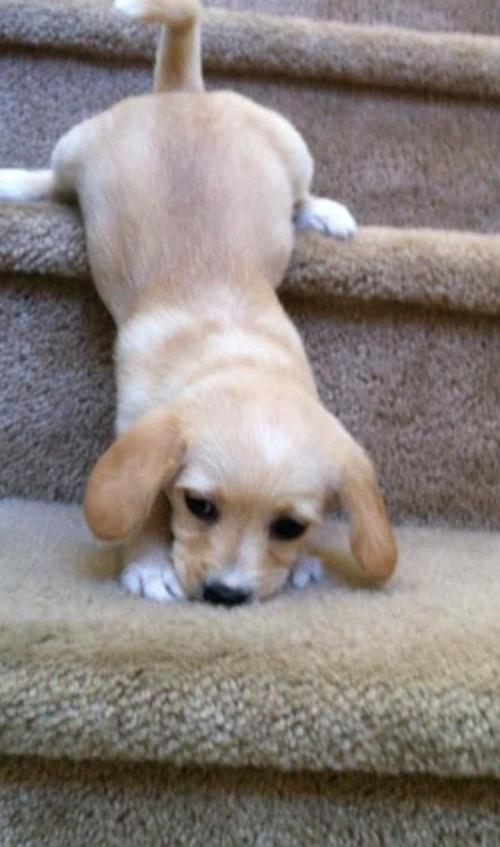 19:05:28 GMT-0600 (CST)