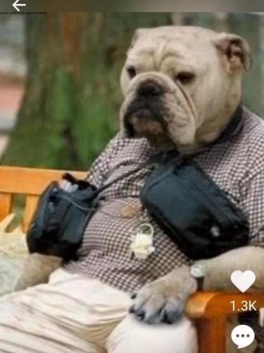 08:47:42 GMT-0500 (EST)