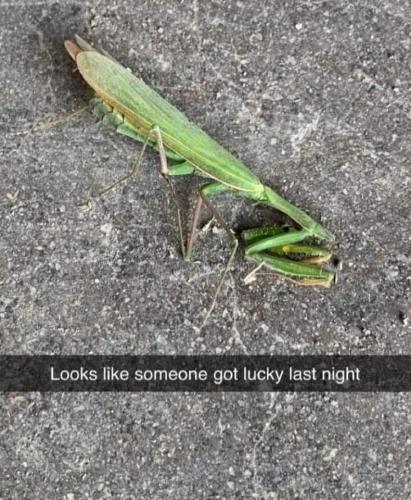 07:47:47 GMT-0600 (CST)