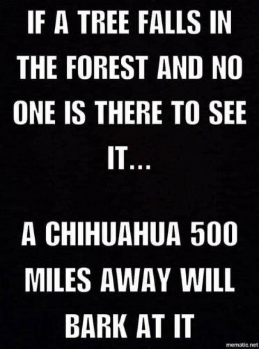 18:59:57 GMT-0500 (EST)