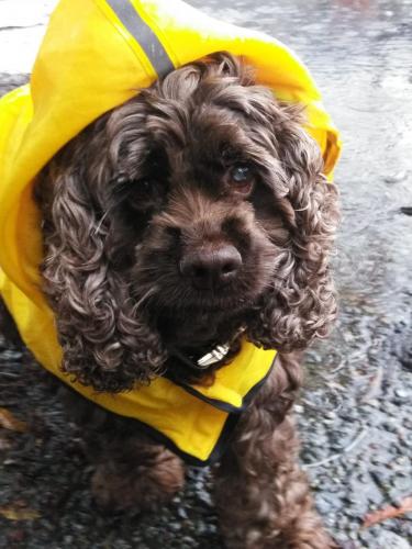 IMG_20201112_112335_original