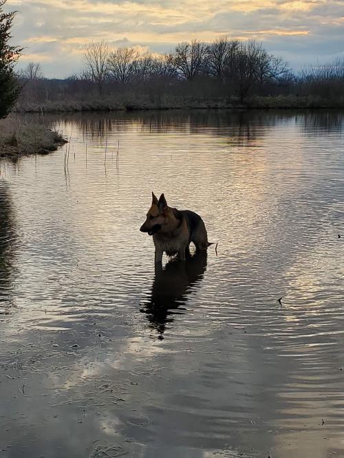 20:14:51 GMT-0600 (CST)