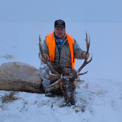 19:06:31 GMT-0700 (MST)