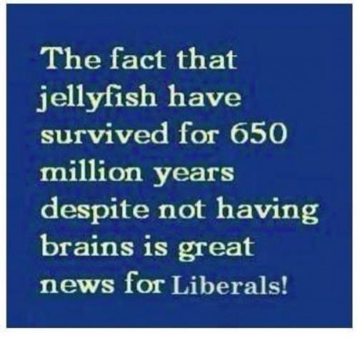 14:48:33 GMT-0500 (EST).image